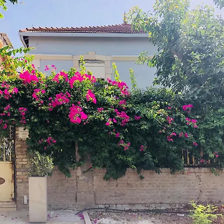 Garden Appartement *