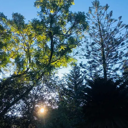 Διαμέρισμα Garden *